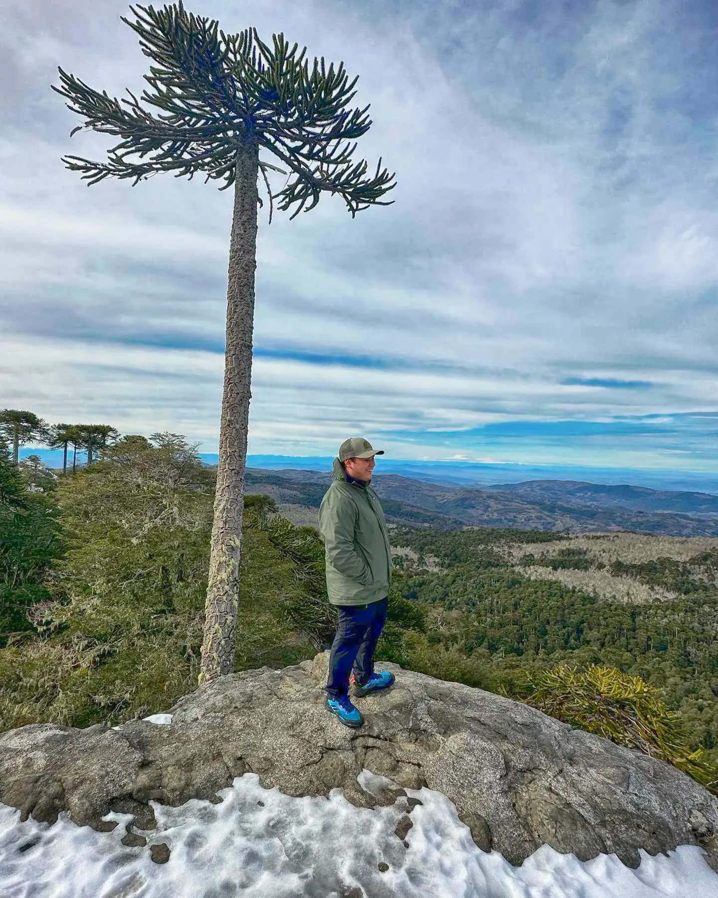 Explorador de la naturaleza