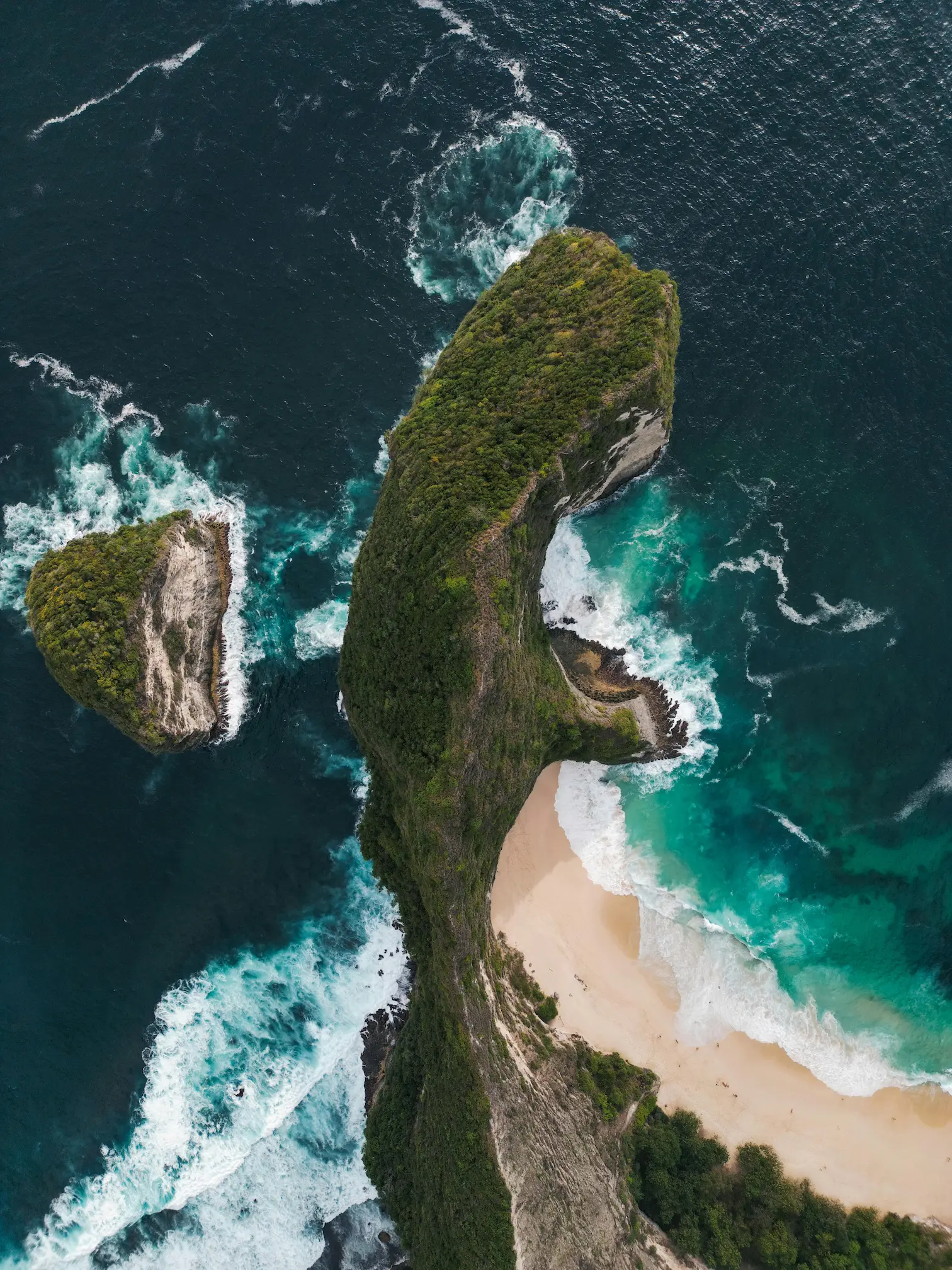 Mantarrayas en Nusa Penida: