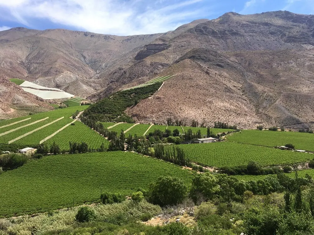 Valle del Elqui: