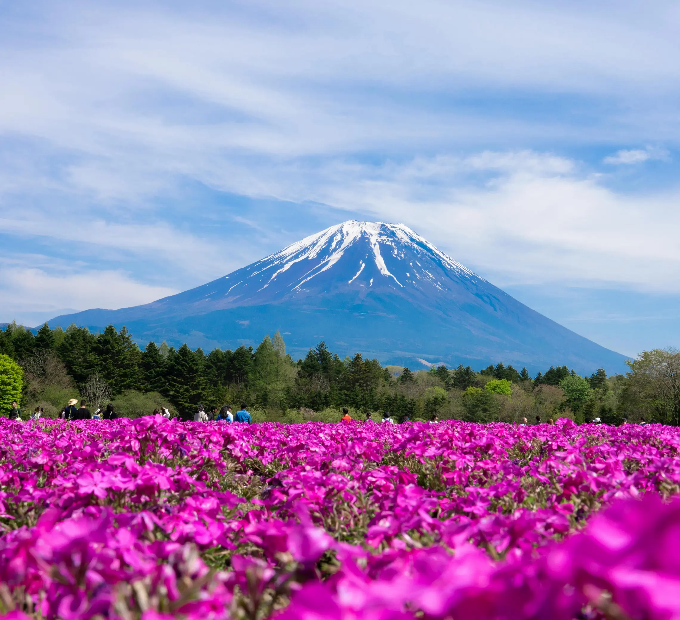 Monte Fuji: