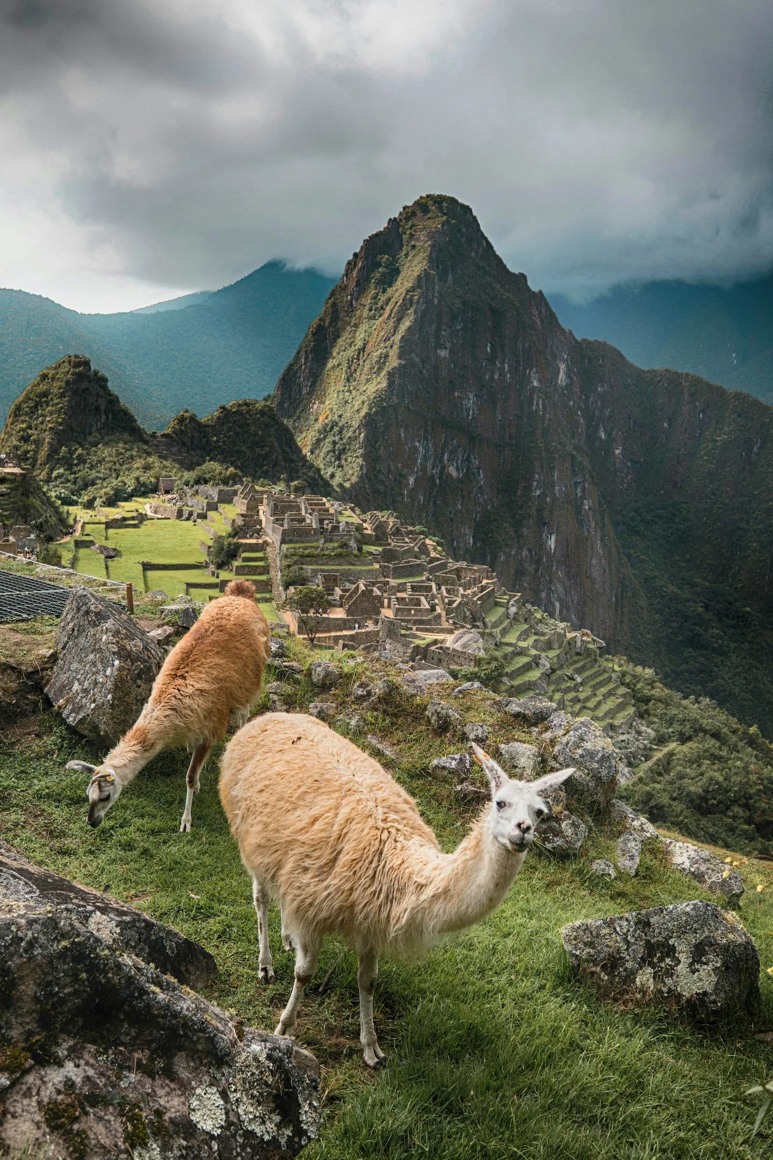 Machu Picchu: