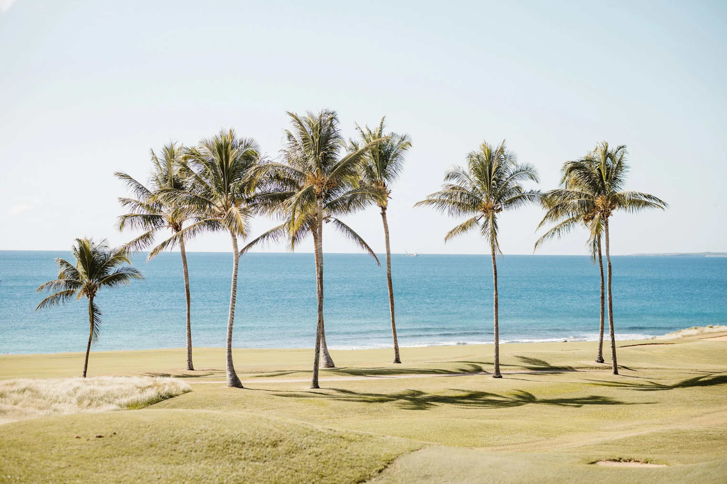 Santo Domingo: Historia, cultura y arquitectura colonial.